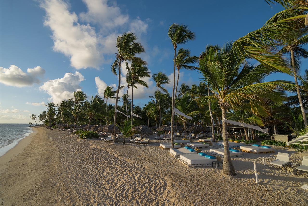 Catalonia Royal Bavaro (Adults Only) Πούντα Κάνα Εξωτερικό φωτογραφία Beach at the resort